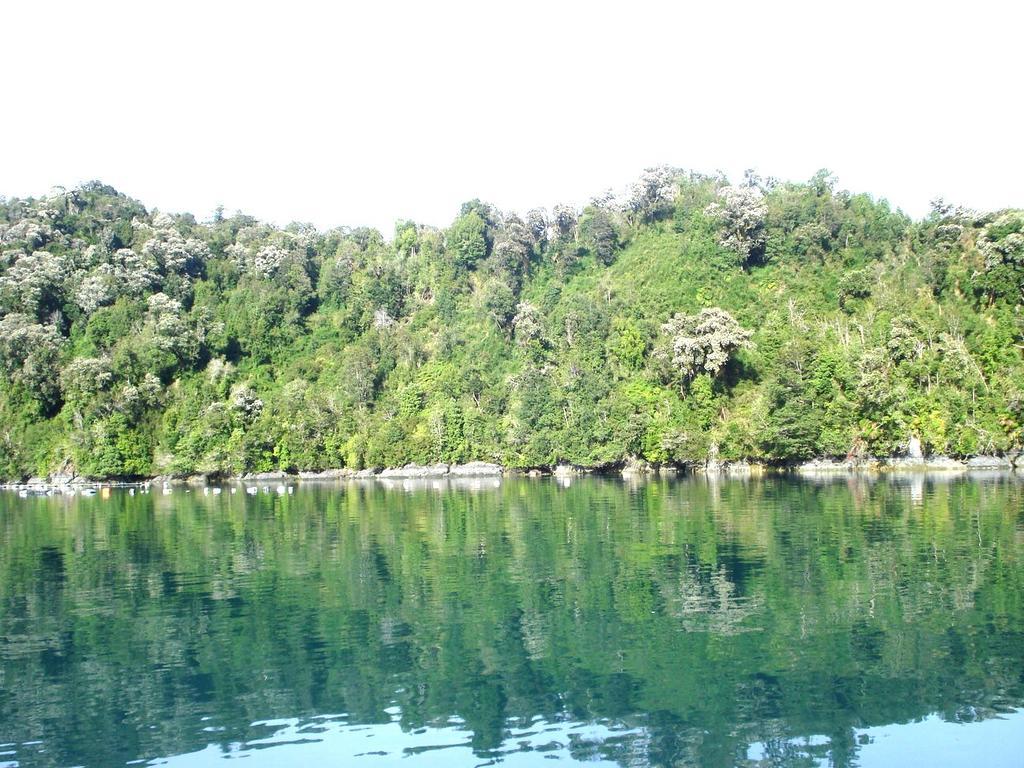 Cabanas Lago Abascal Apartamento